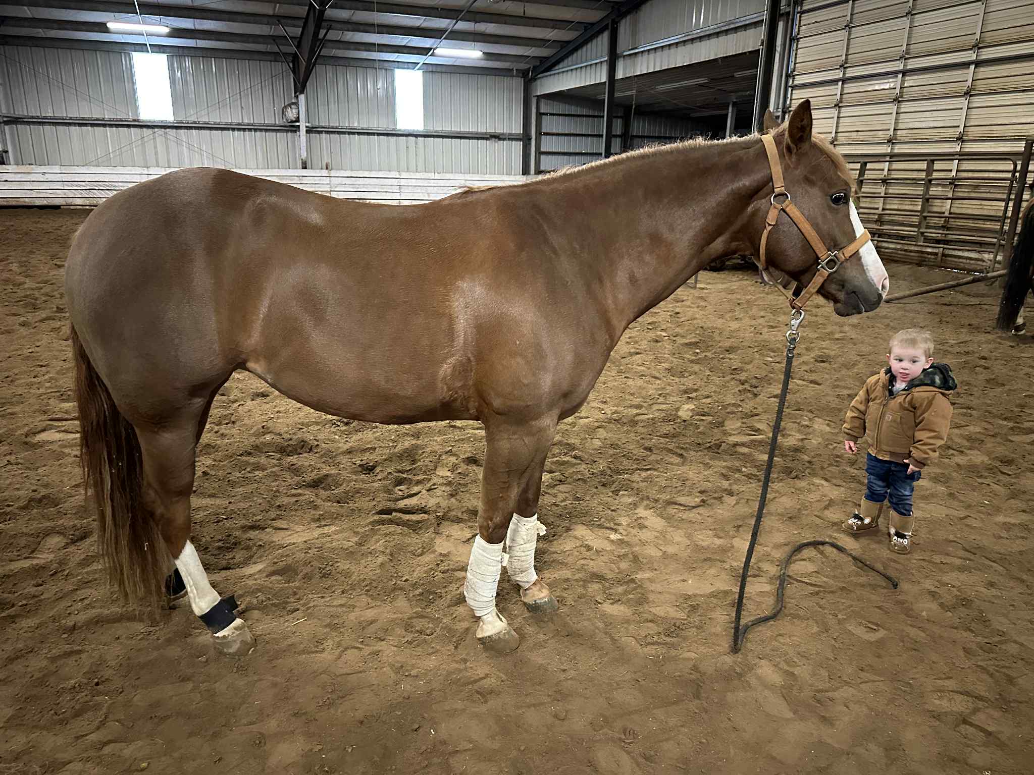 Bet Hesa Boon X This Chics On Fire - Image 3