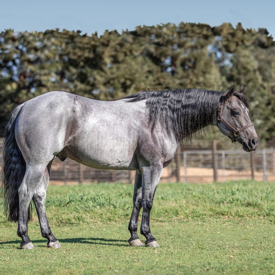 Bet Hesa Boon X This Chics On Fire - Image 1