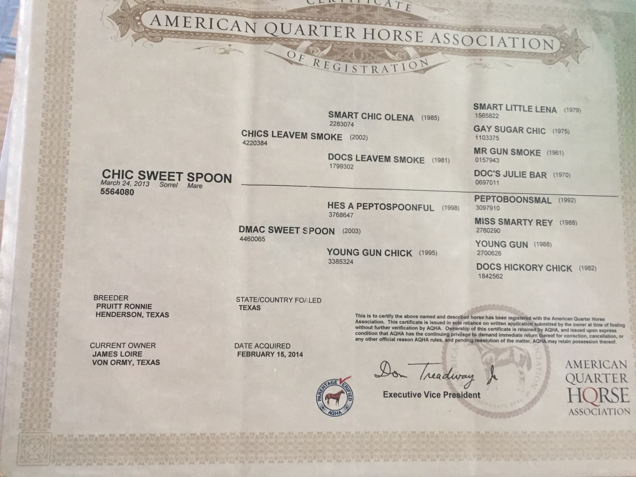 Genuine Peppy Chex X Chic Sweet Spoon - Image 5