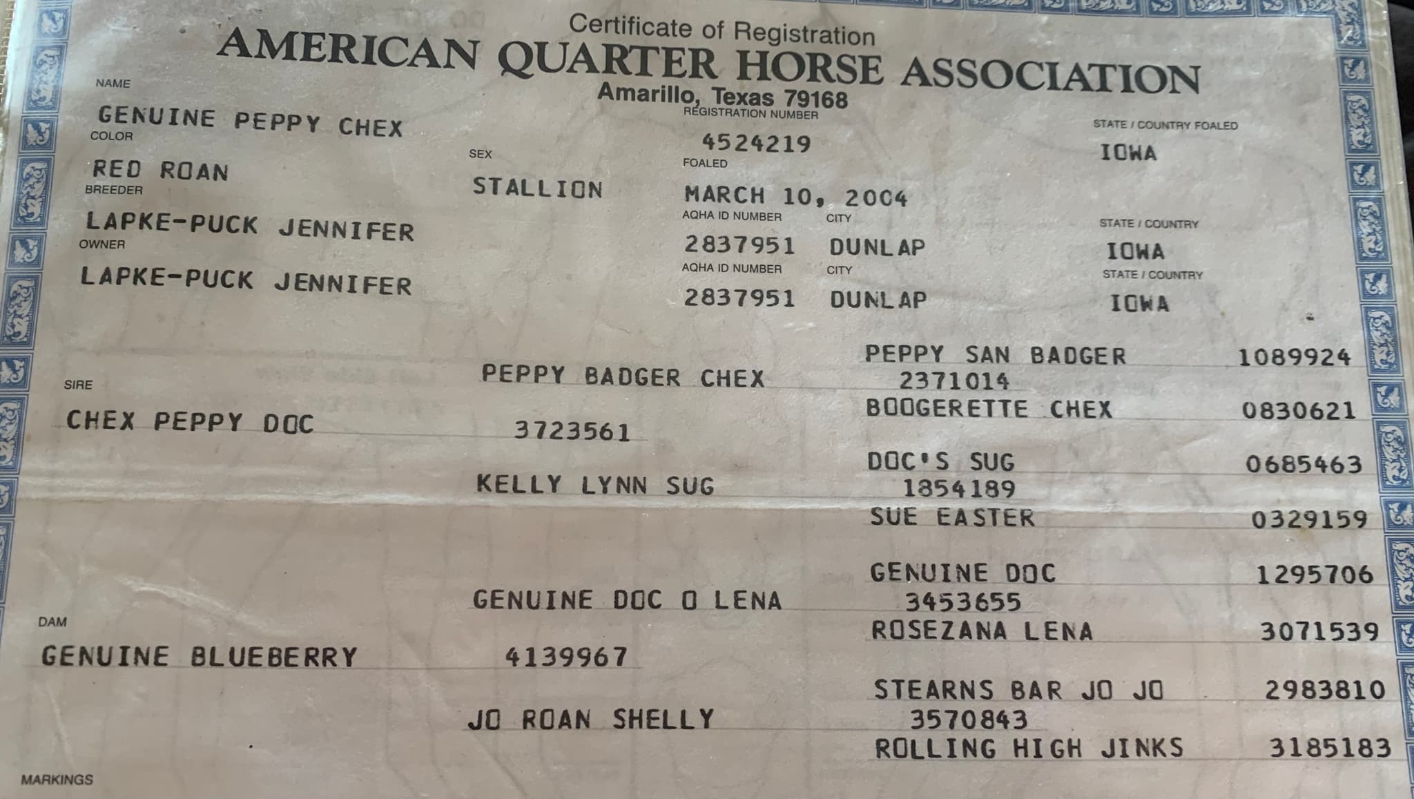 Genuine Peppy Chex X Chic Sweet Spoon - Image 3