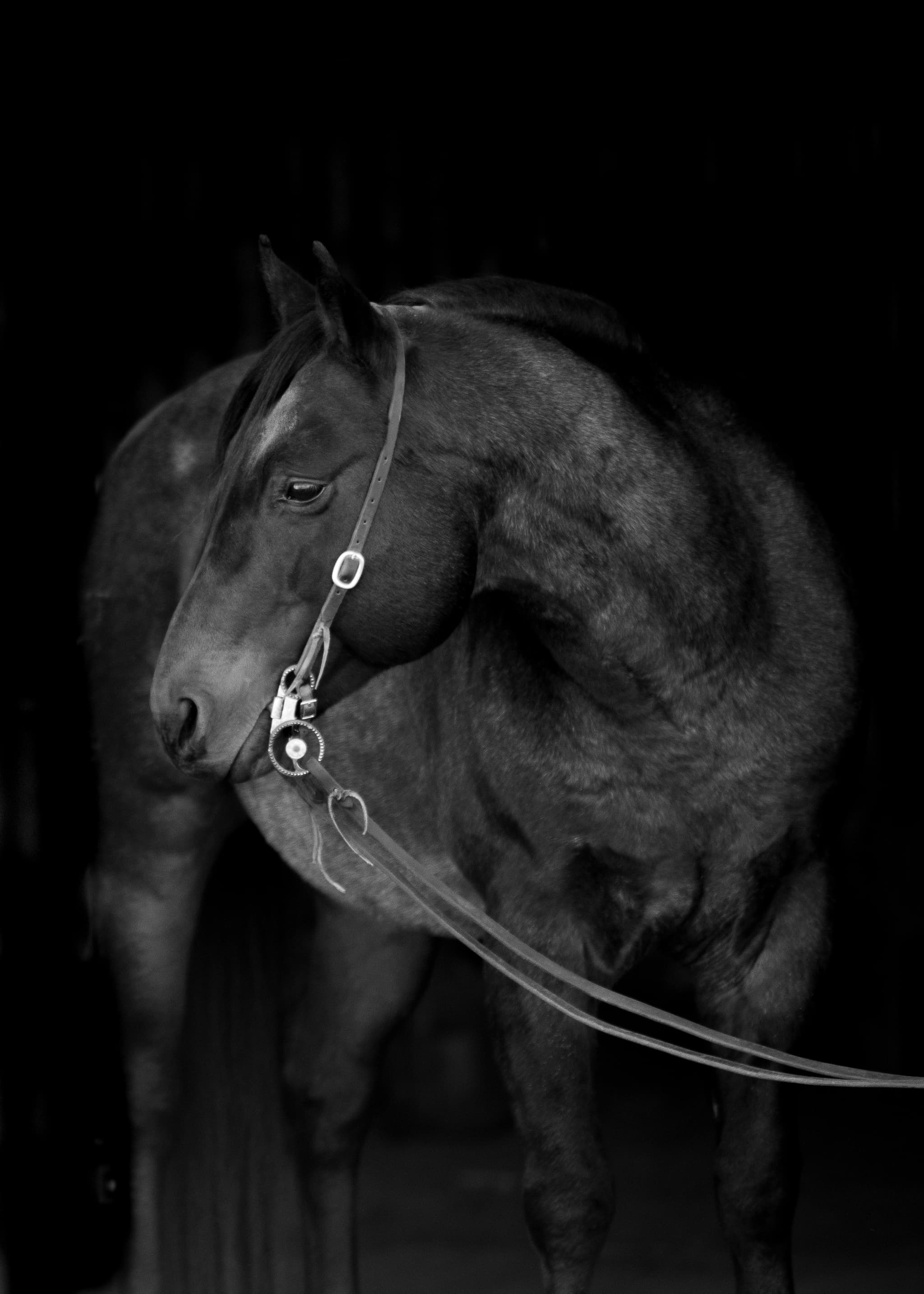 Genuine Peppy Chex X Chic Sweet Spoon - Image 1