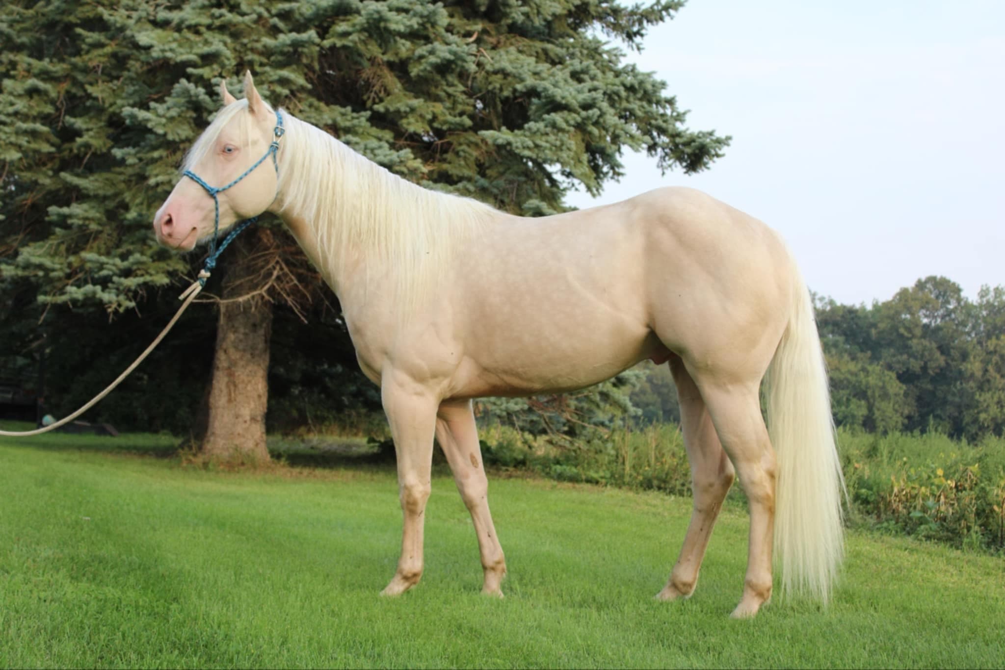 AINTGOTNOTHINGONME - Image 1