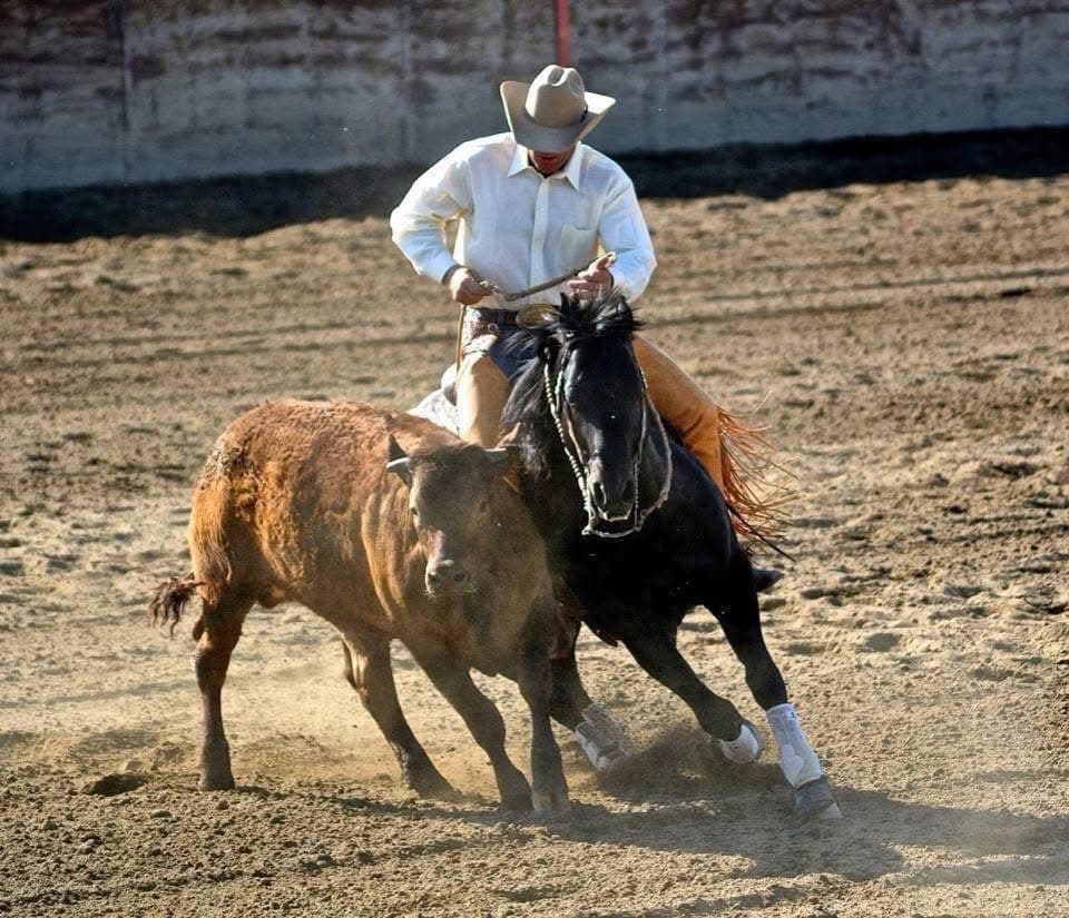 FAMOSO STARLIGHT - Image 1