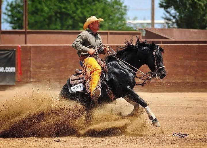 FAMOSO STARLIGHT - Image 2