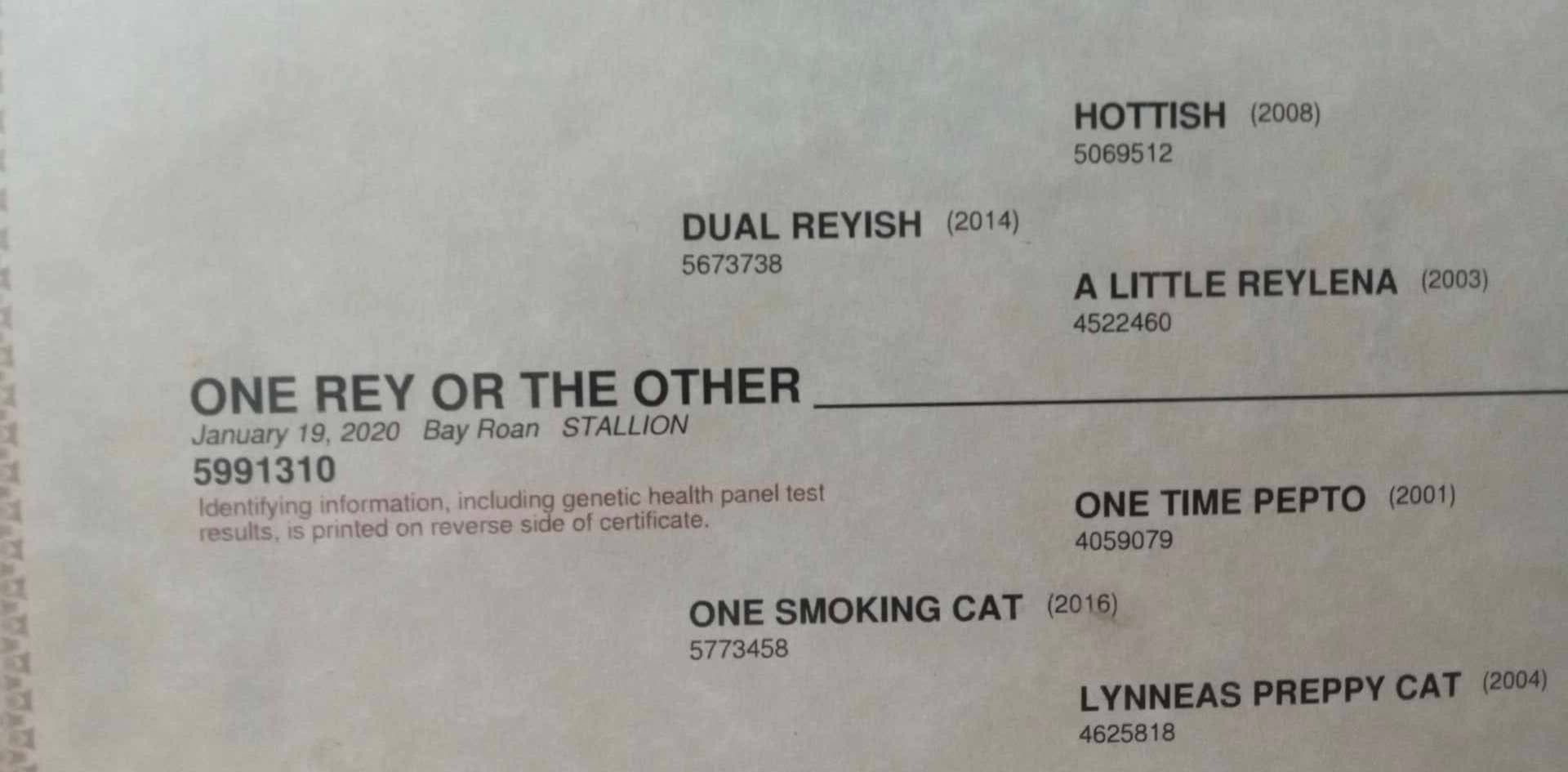 One Rey Or The Other X Magnums Lil Digger - Image 2