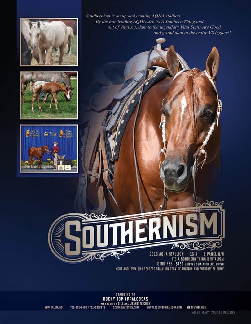SOUTHERNISM - Image 1