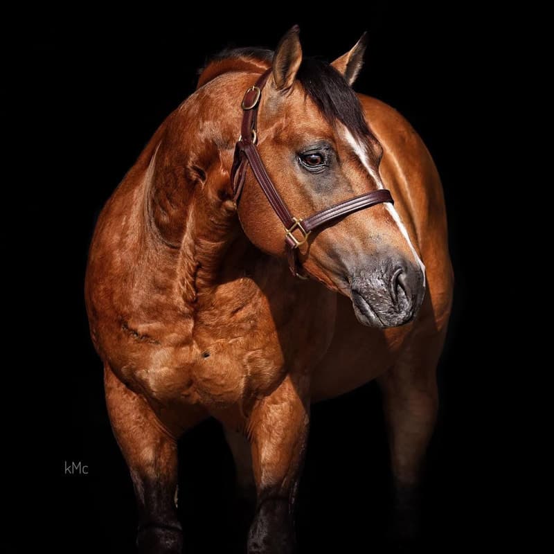 FUEL N SHINE - Image 2