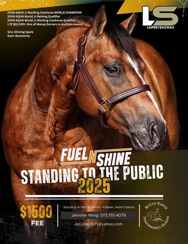 FUEL N SHINE - Image 1