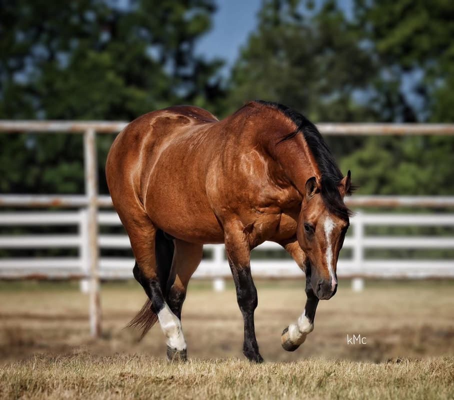 FUEL N SHINE - Image 3