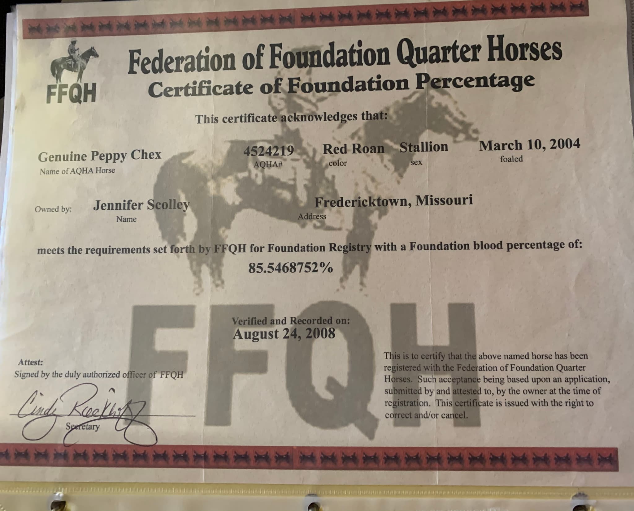 Genuine Peppy Chex X Cricket - Image 3