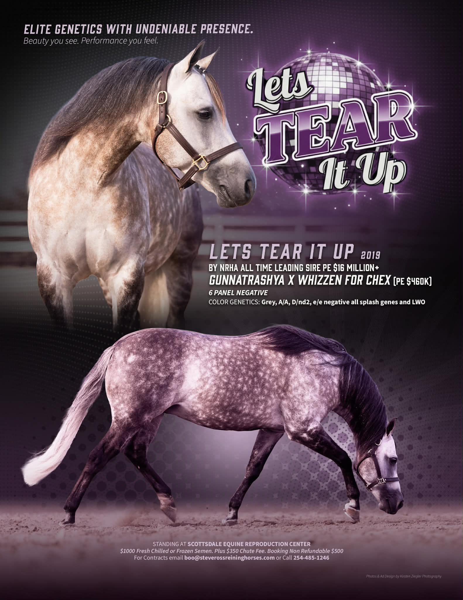 Lets Tear It Up - Image 1