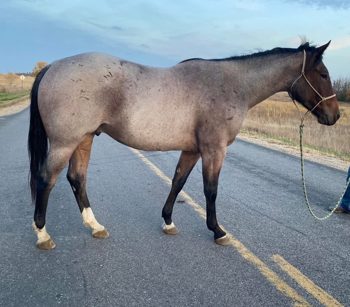 MtCup of Tito - Image 7