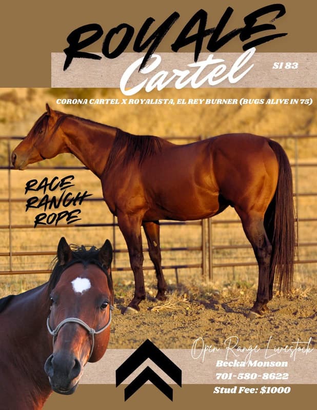 ROYALE CARTEL - Image 1