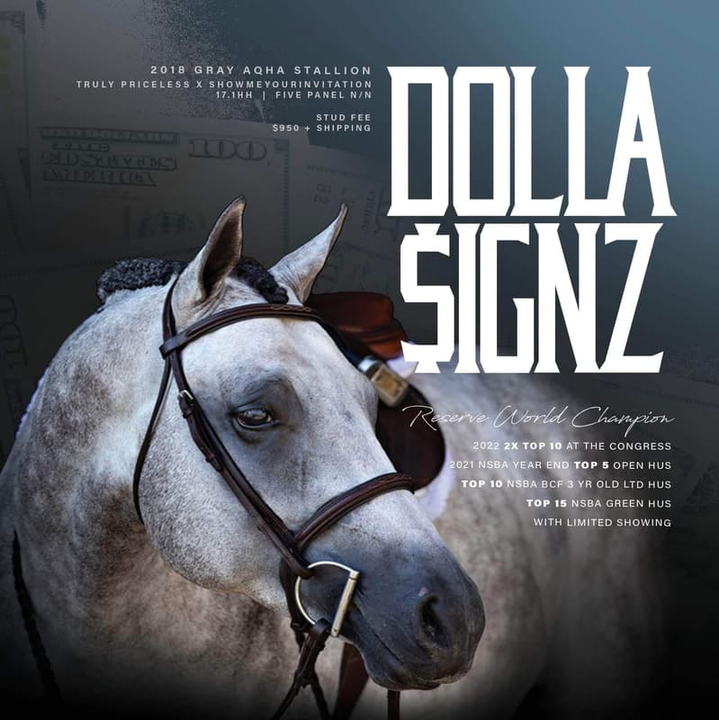 DOLLA SIGNZ - Image 1