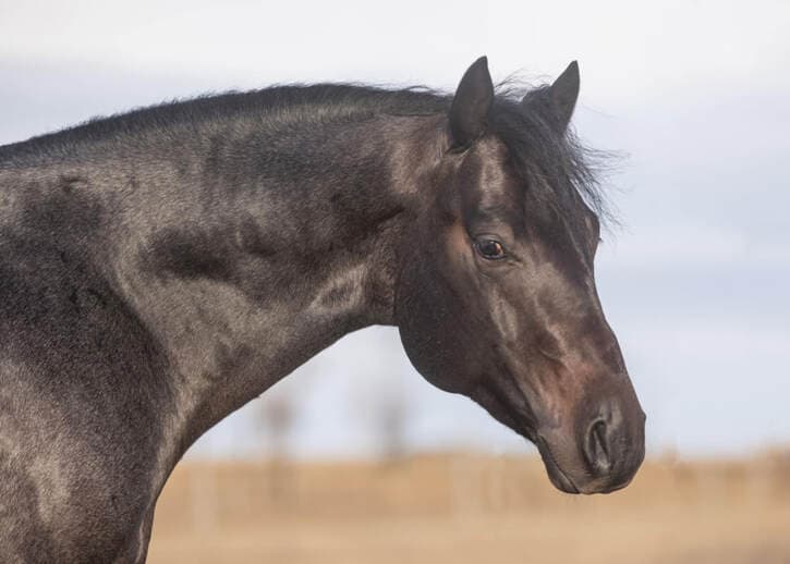 MTCUP OF GUINESS - Image 2