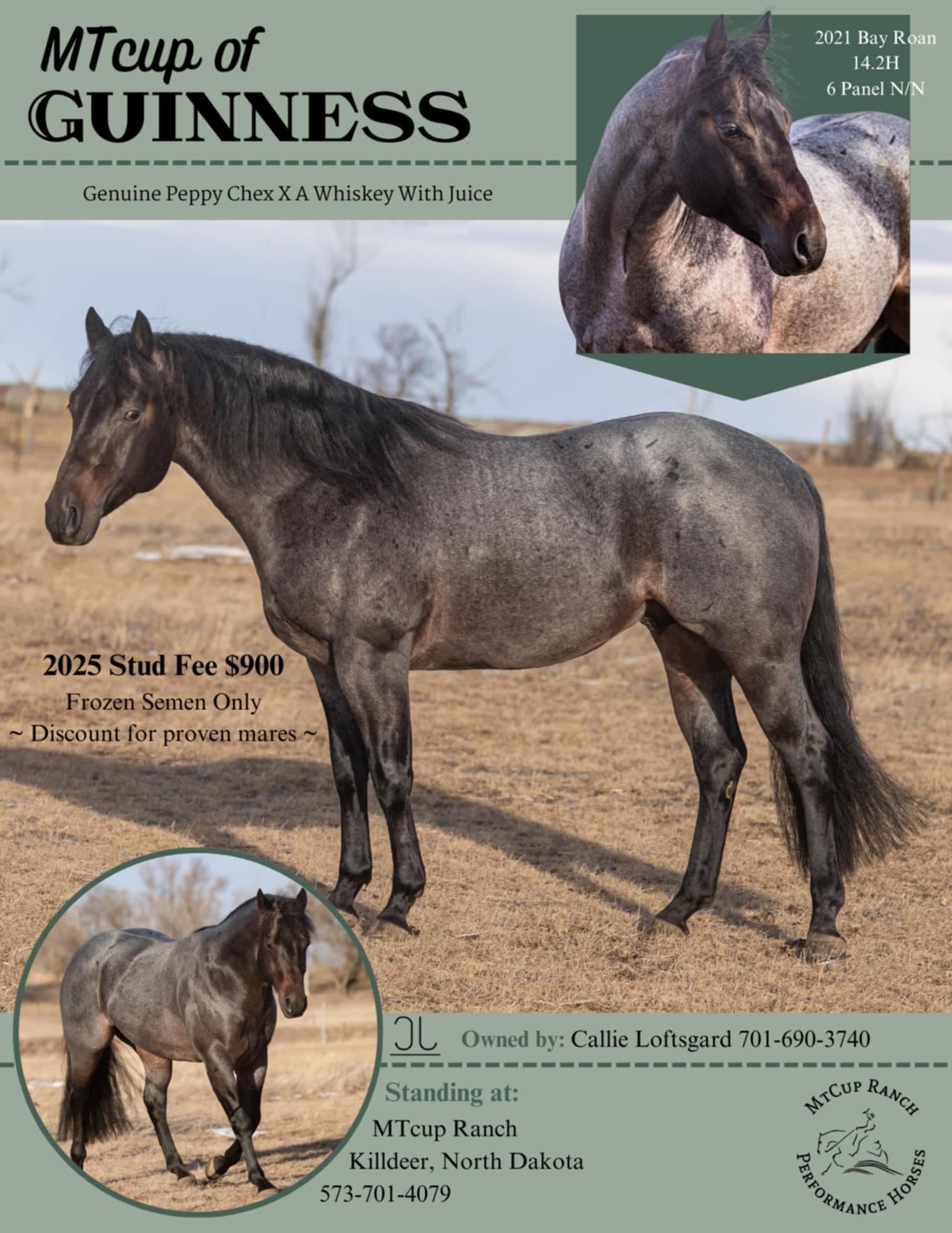 MTCUP OF GUINESS - Image 1