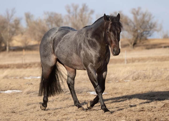 MTCUP OF GUINESS - Image 3