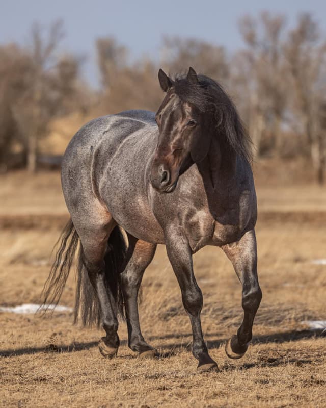 MTCUP OF GUINESS - Image 4