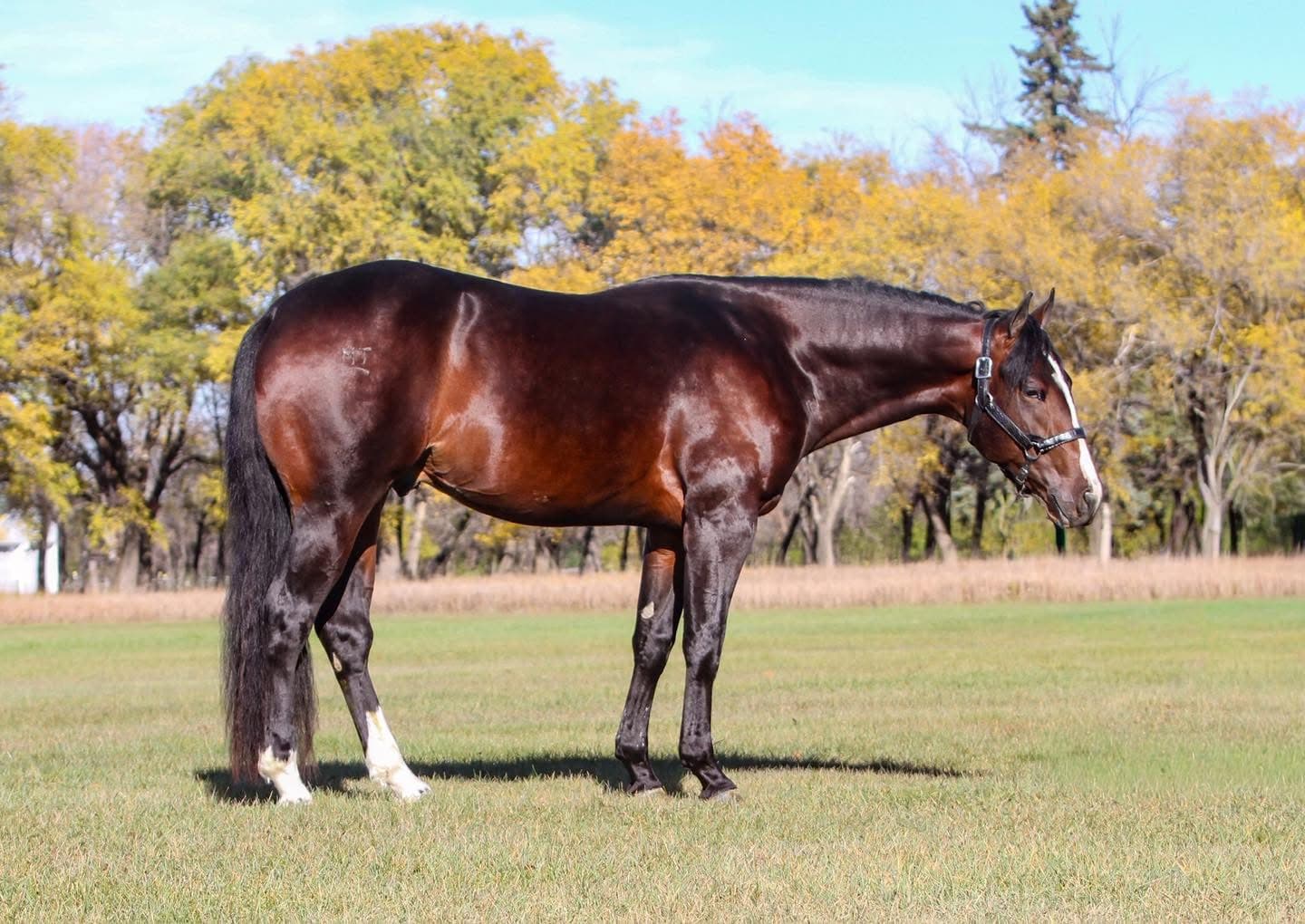 MTCUP VINTAGE TEASPOON - Image 1