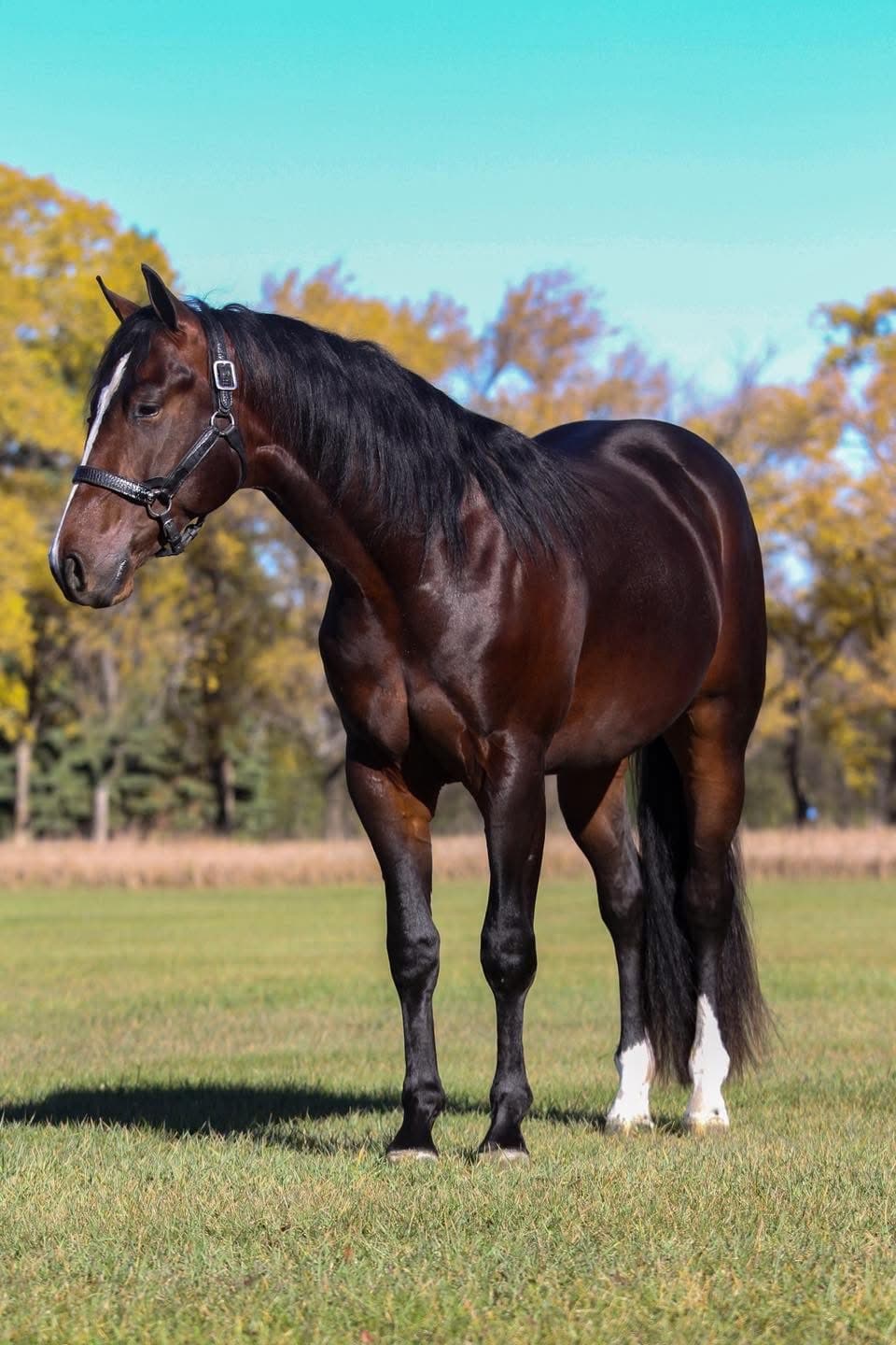 MTCUP VINTAGE TEASPOON - Image 4