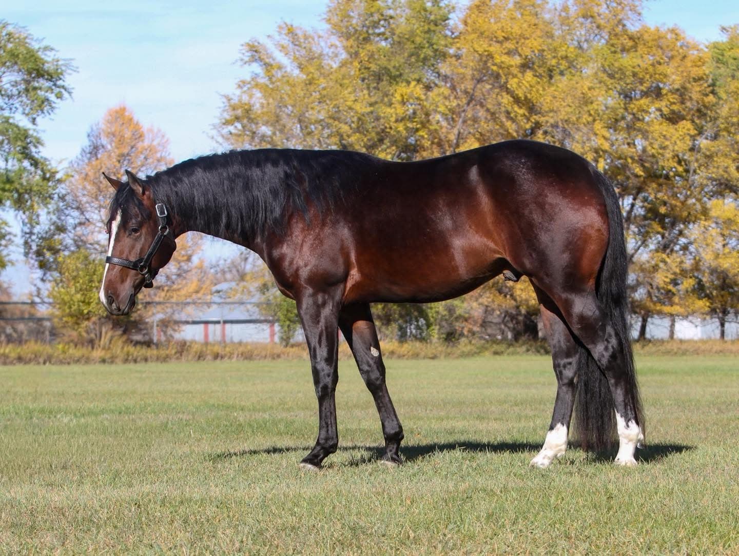 MTCUP VINTAGE TEASPOON - Image 3