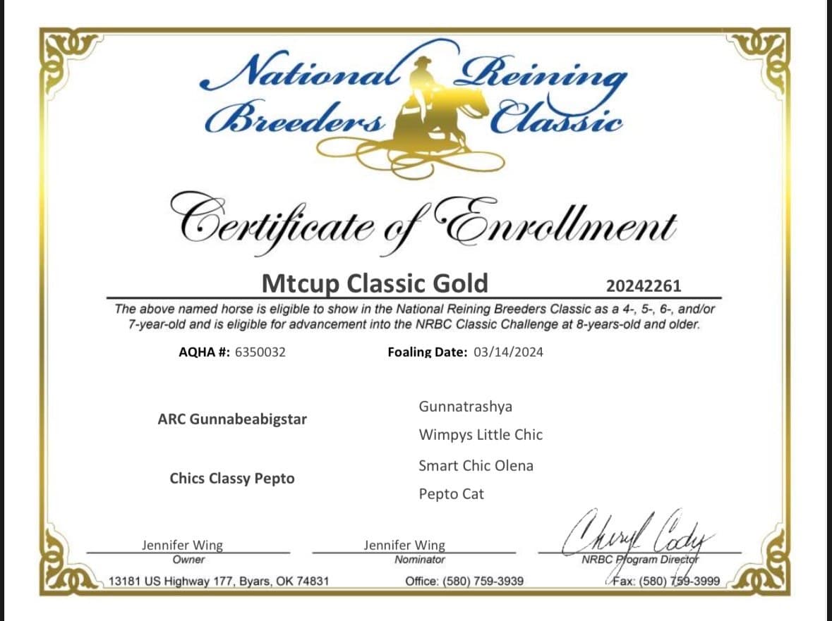 MtCup Classic Gold - Image 6