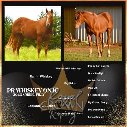 PR Whiskey On Ic - Image 1