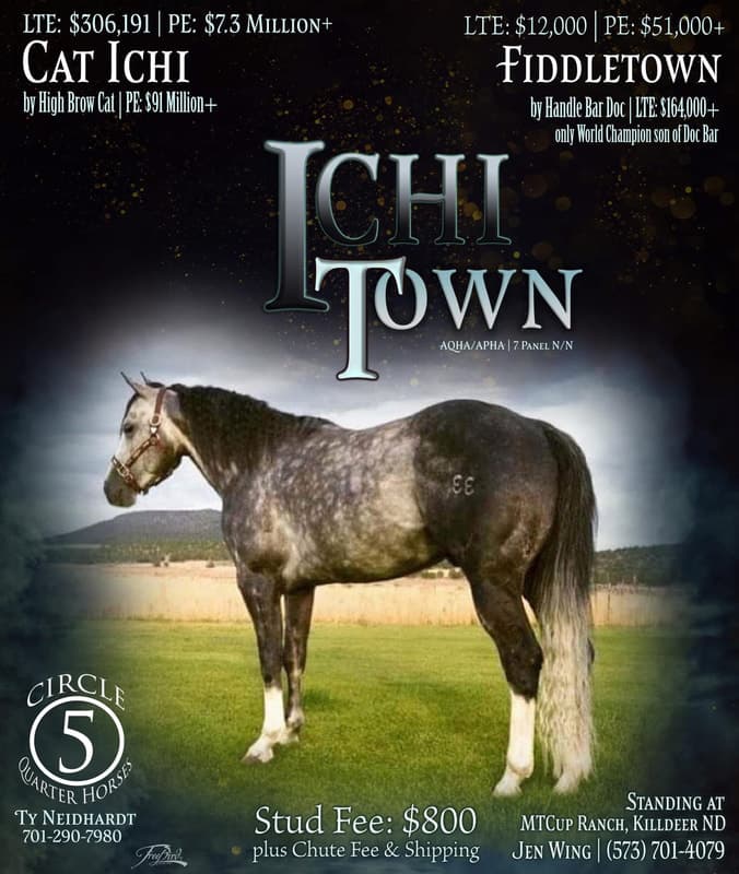 ICHI TOWN - Image 1