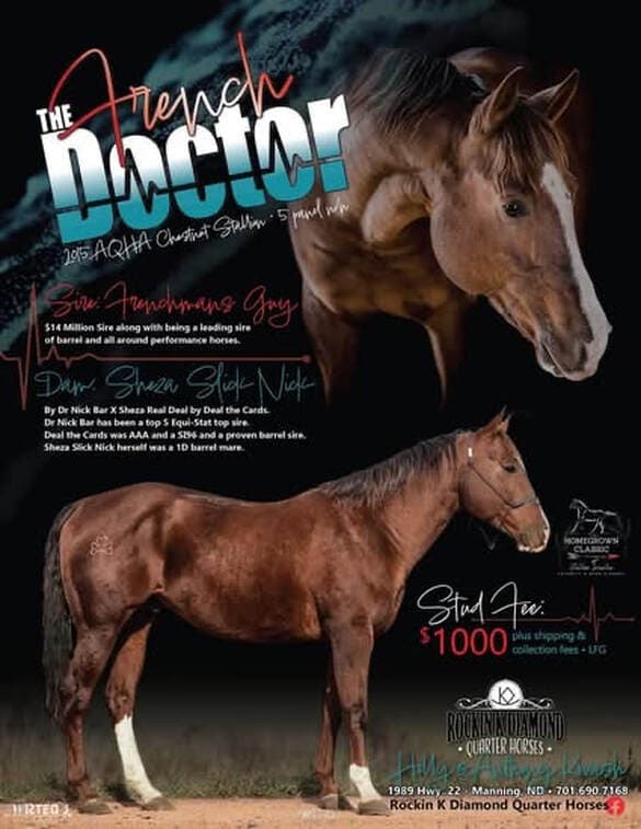 THE FRENCH DOCTOR - Image 1