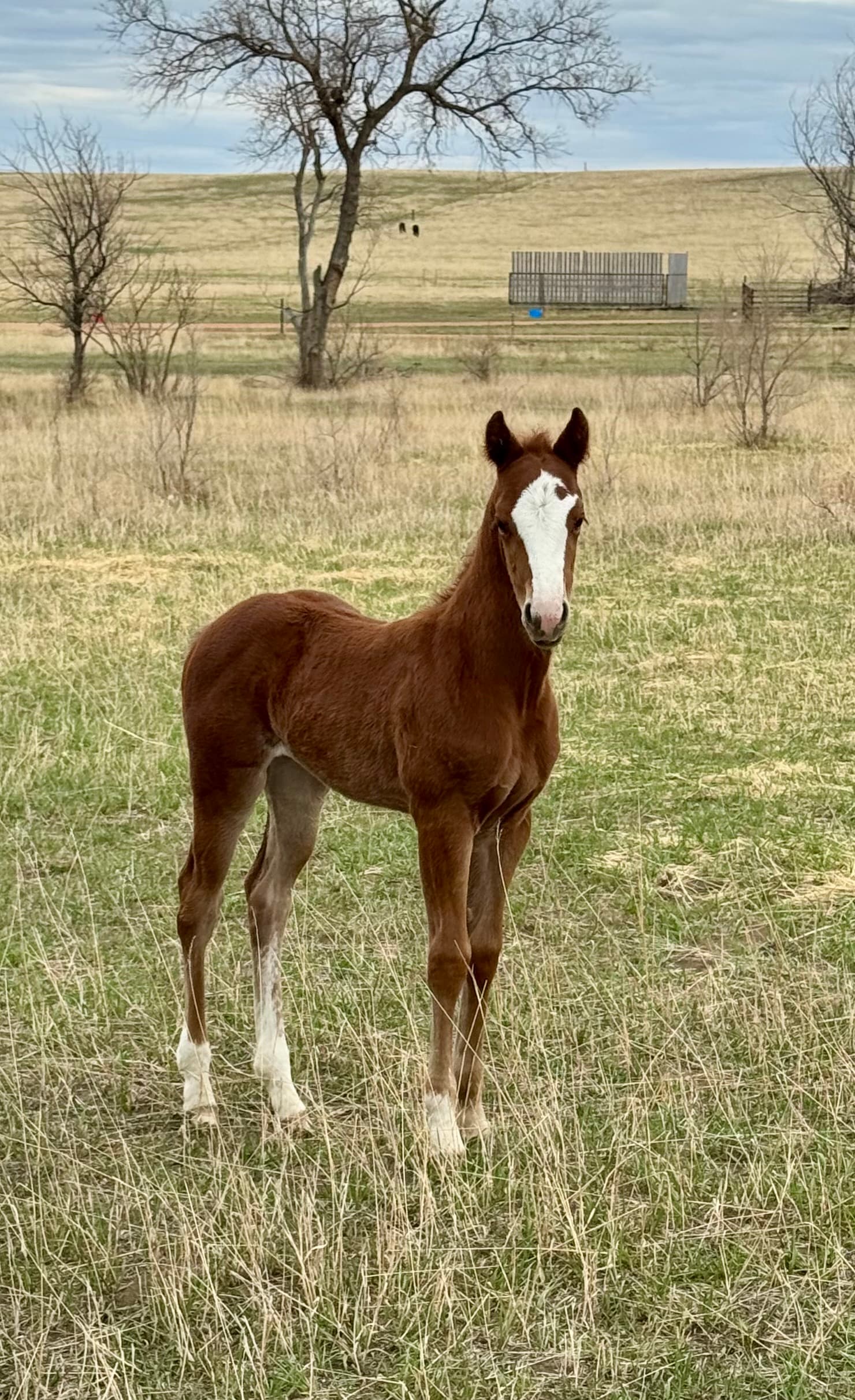 About MTCUP Ranch - Image 1