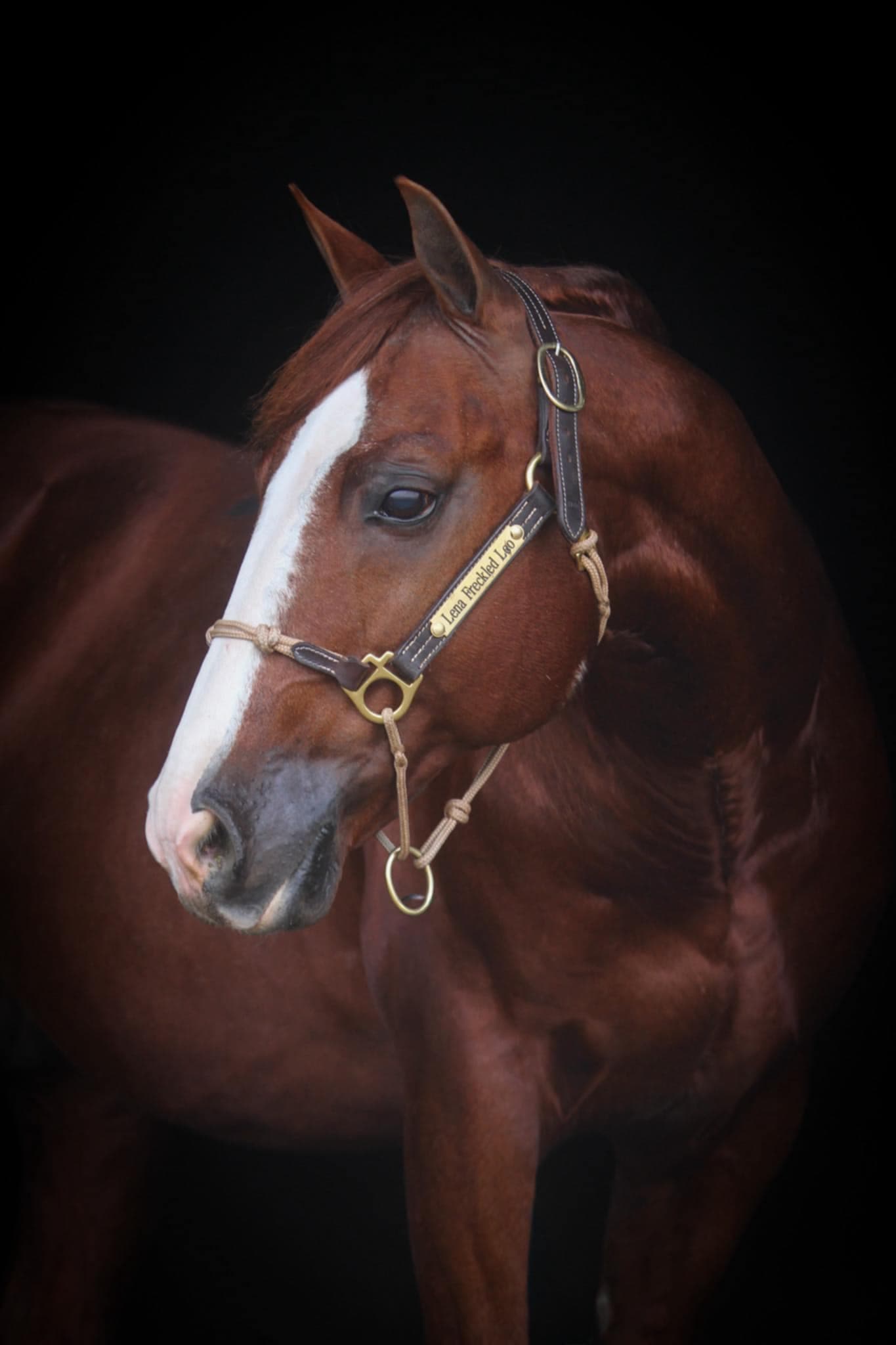 About MTCUP Ranch - Image 2