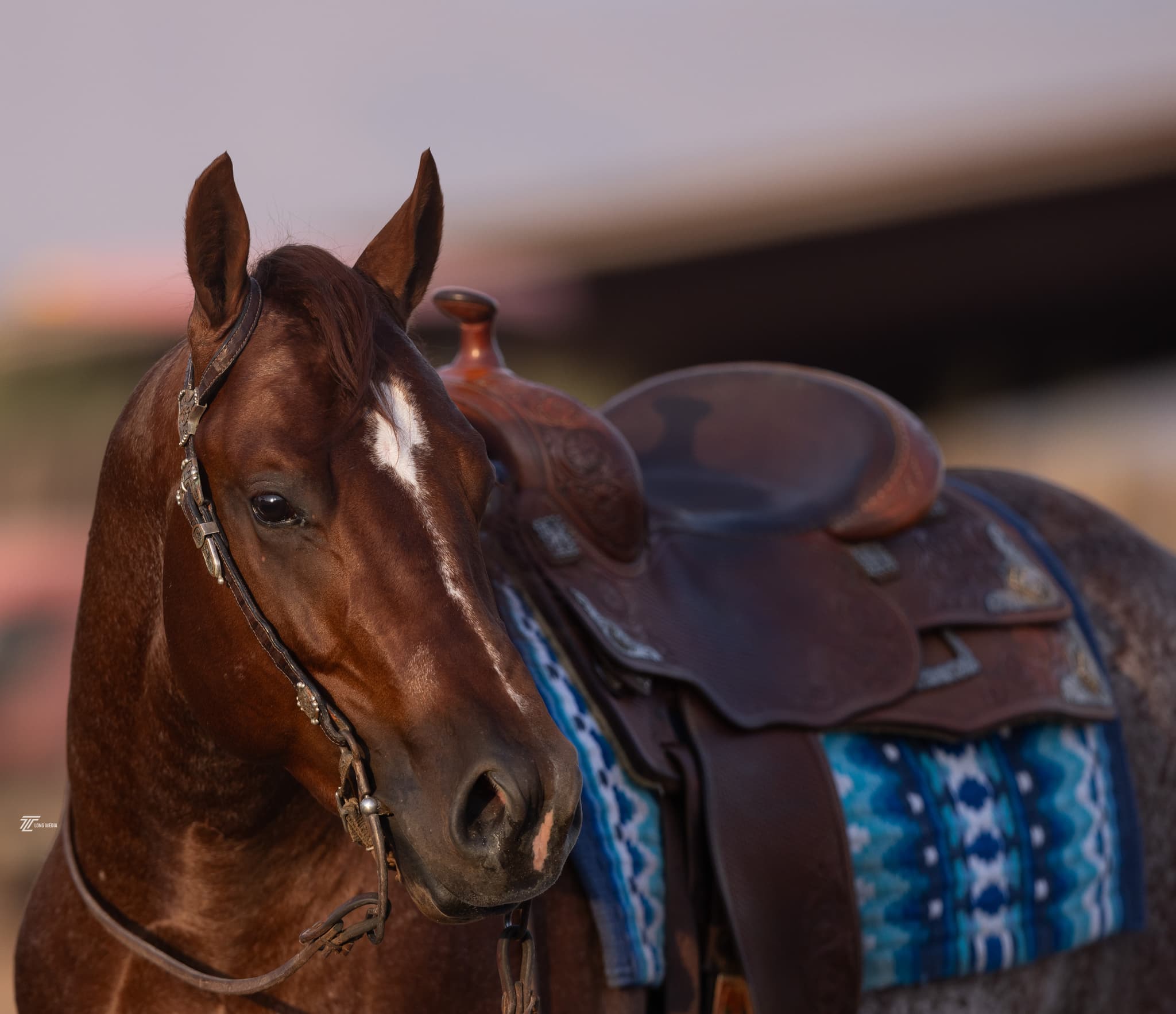 About MTCUP Ranch - Image 4