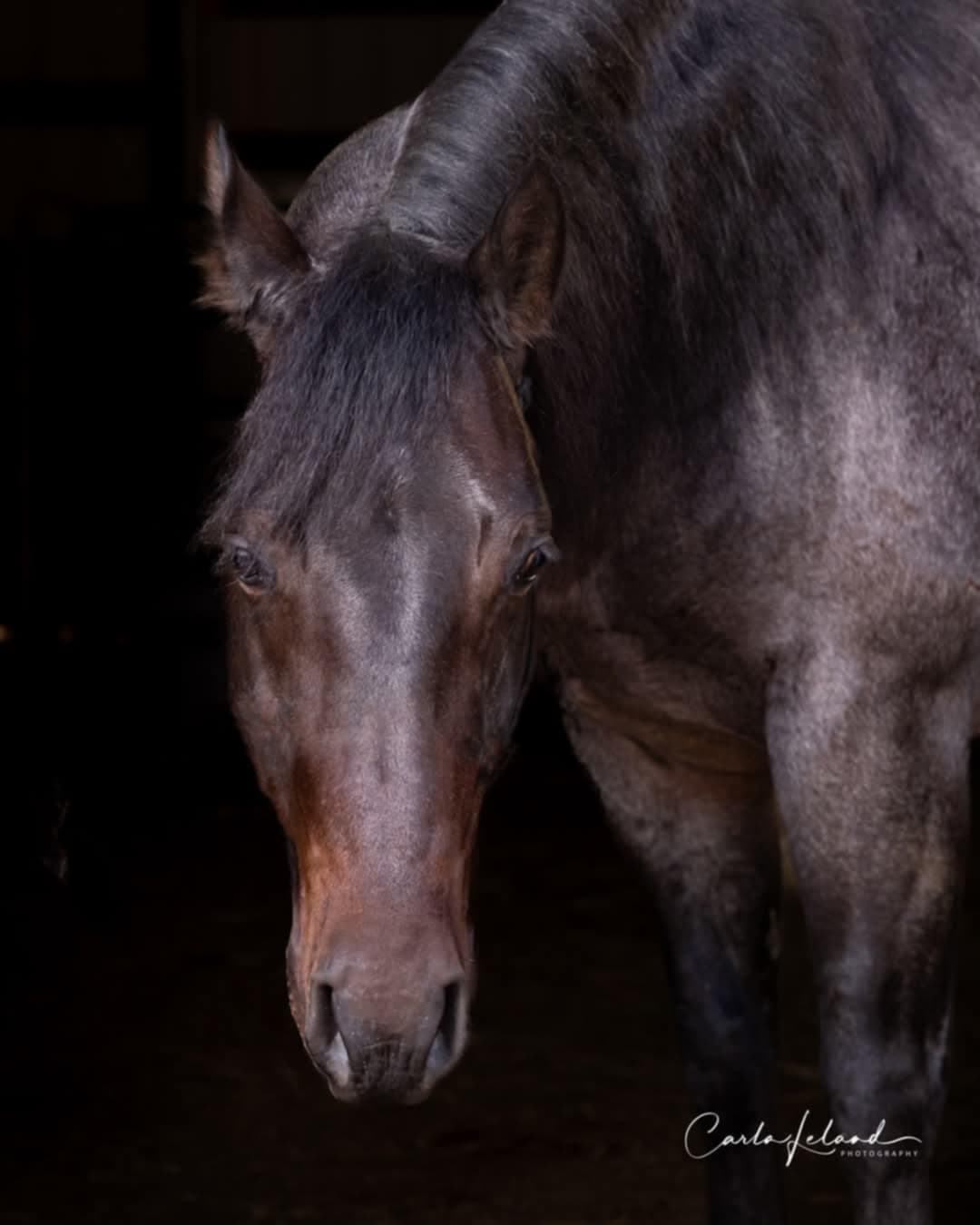 About MTCUP Ranch - Image 5